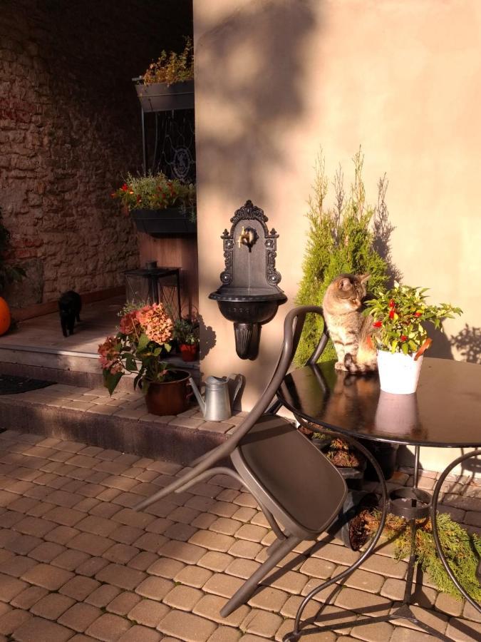 Babie Lato B&B Uniejow Exterior foto